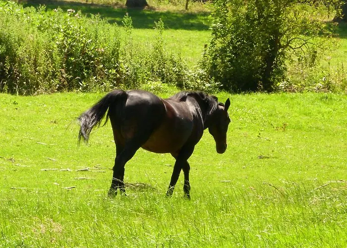 Ferme Des Chartroux